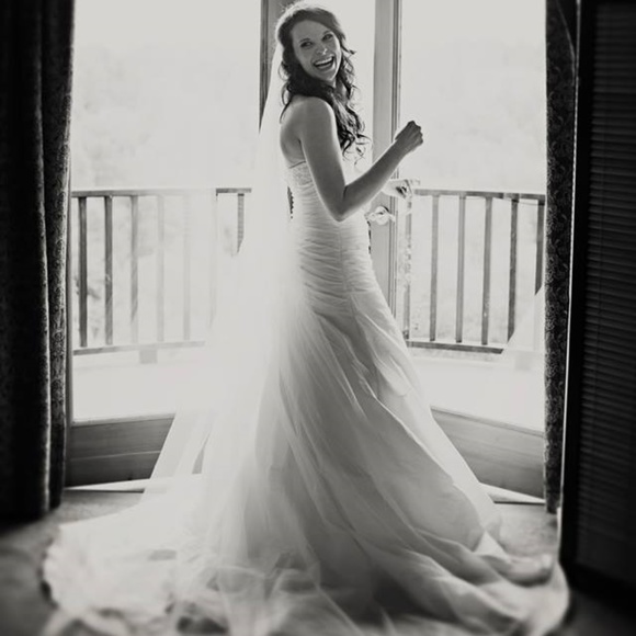 Meet your Posher, Kyra - Picture 2 of 6